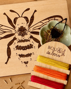 Les insectes à relier