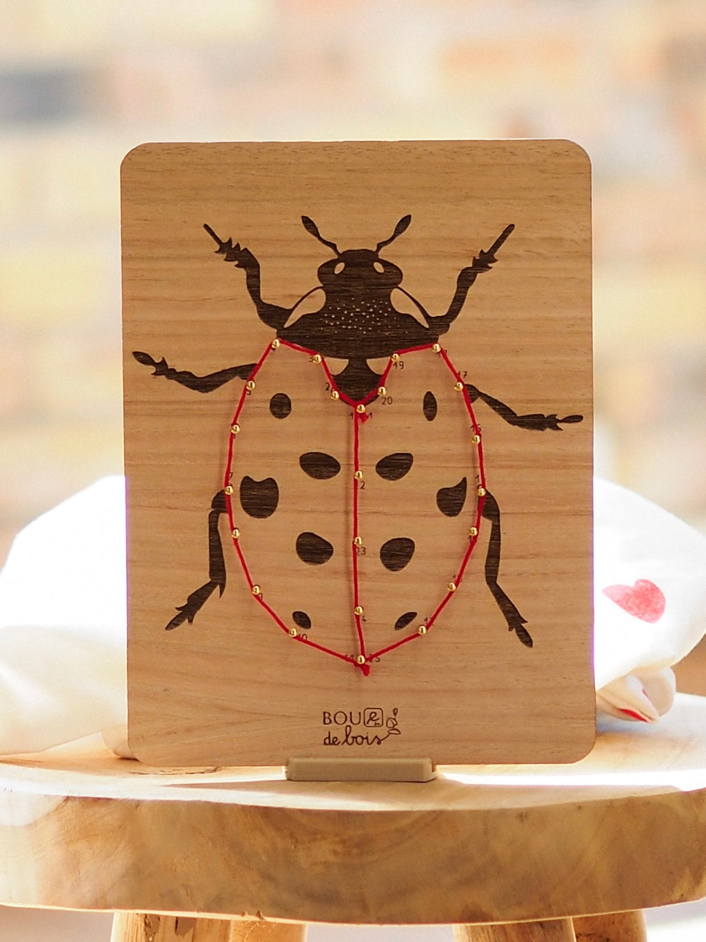 Les insectes à relier