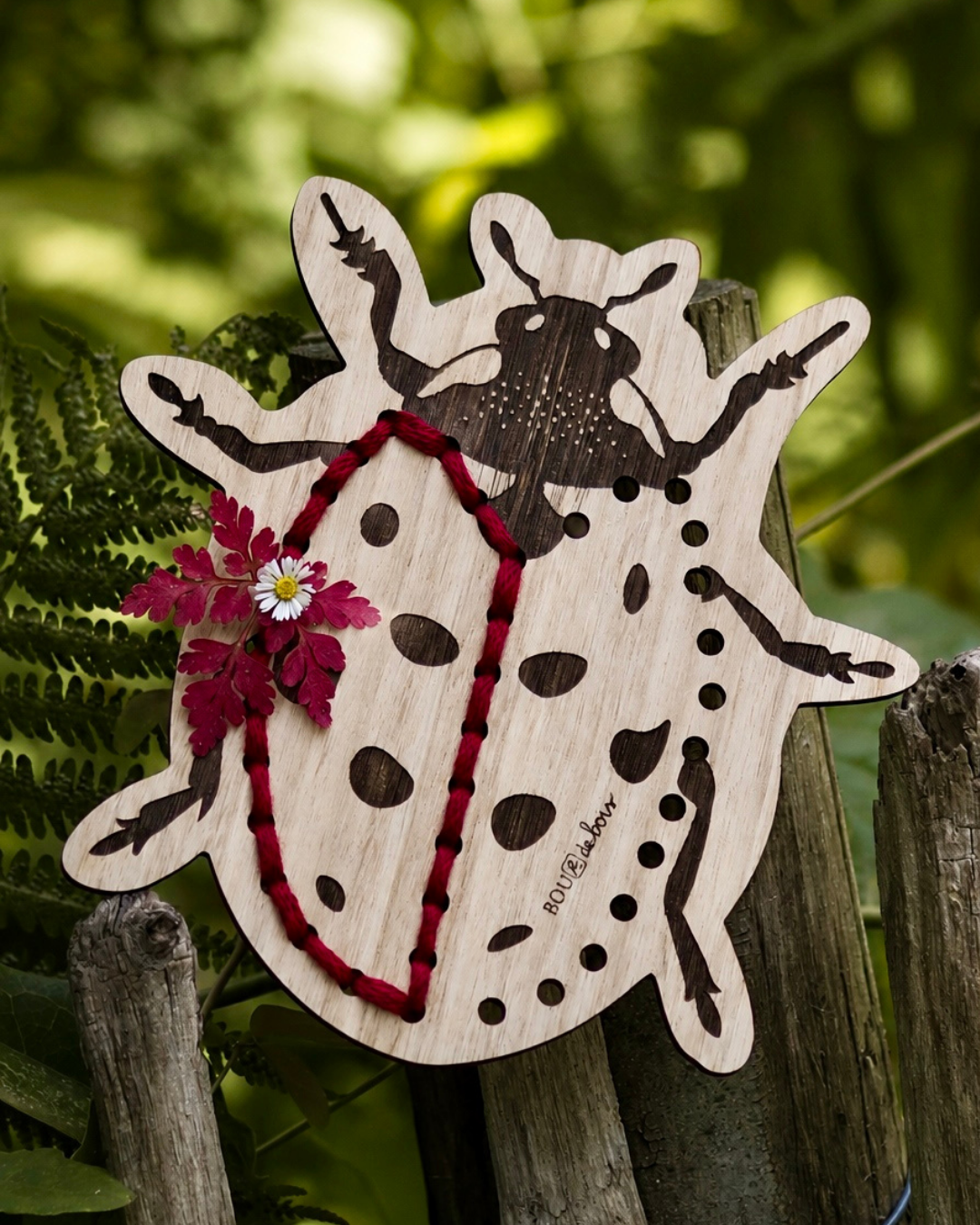 Coccinelle à végétaliser