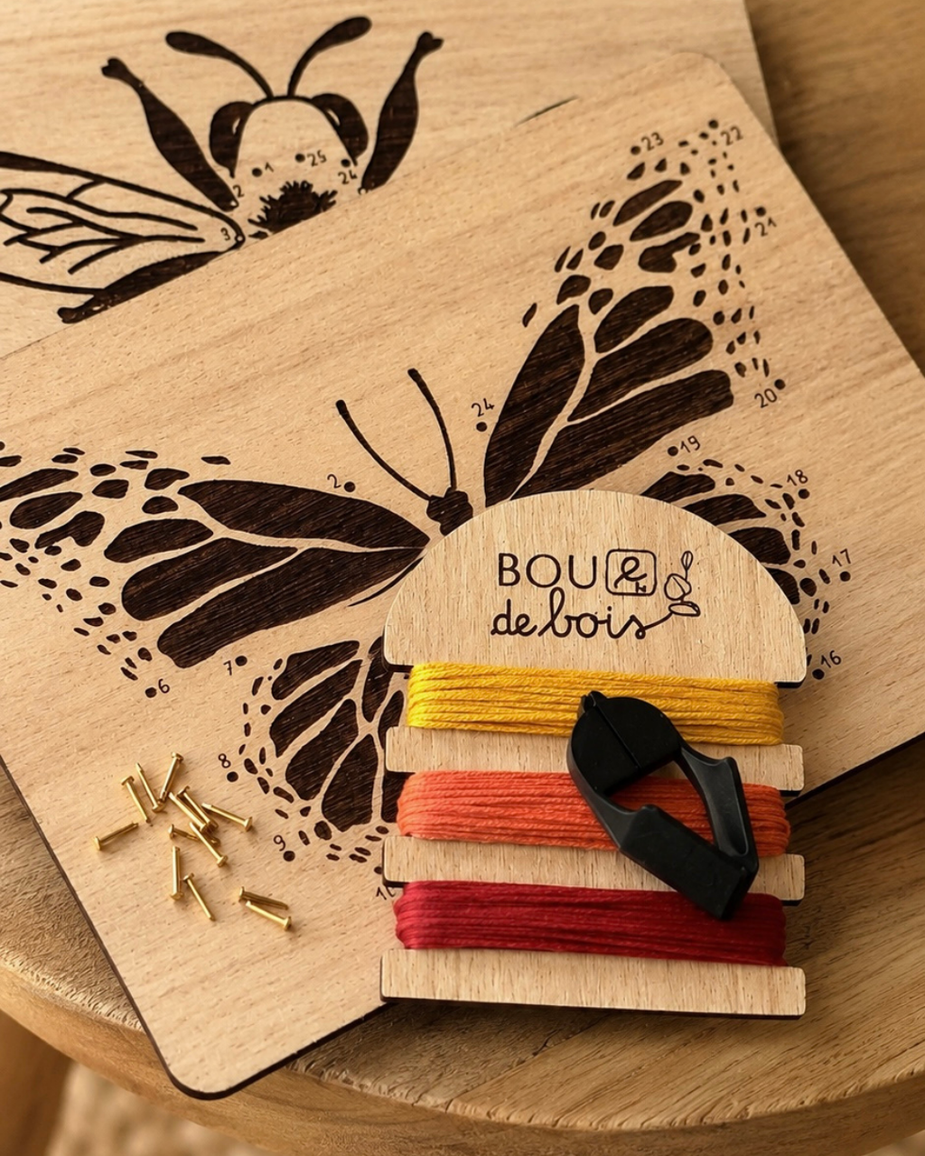 Les insectes à relier