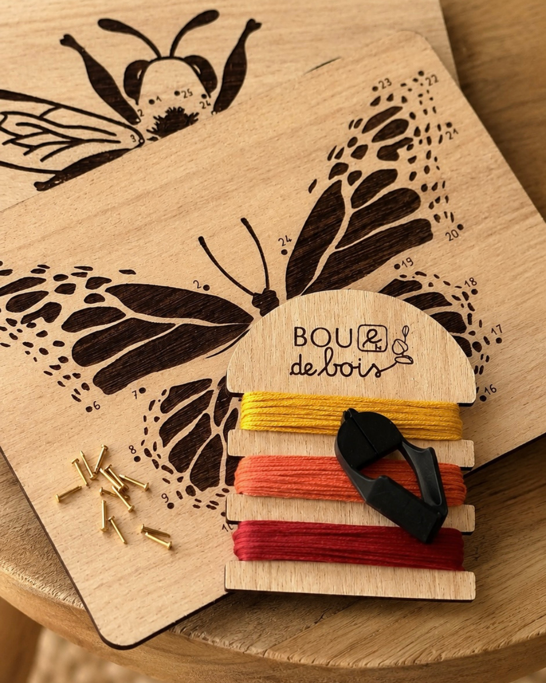 Les insectes à relier