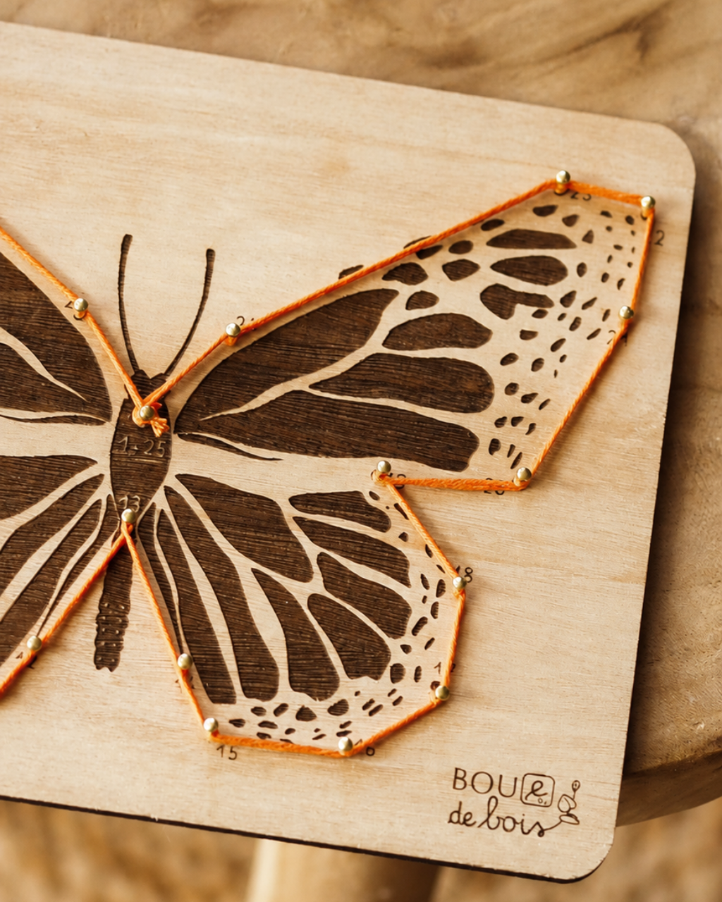Les insectes à relier