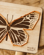 Les insectes à relier