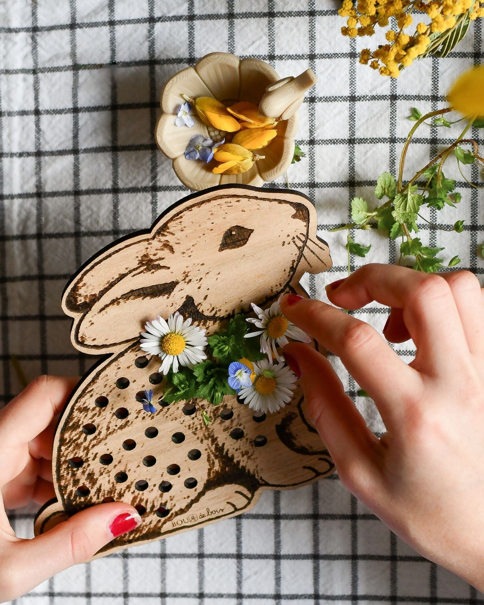 Mon lapin à végétaliser