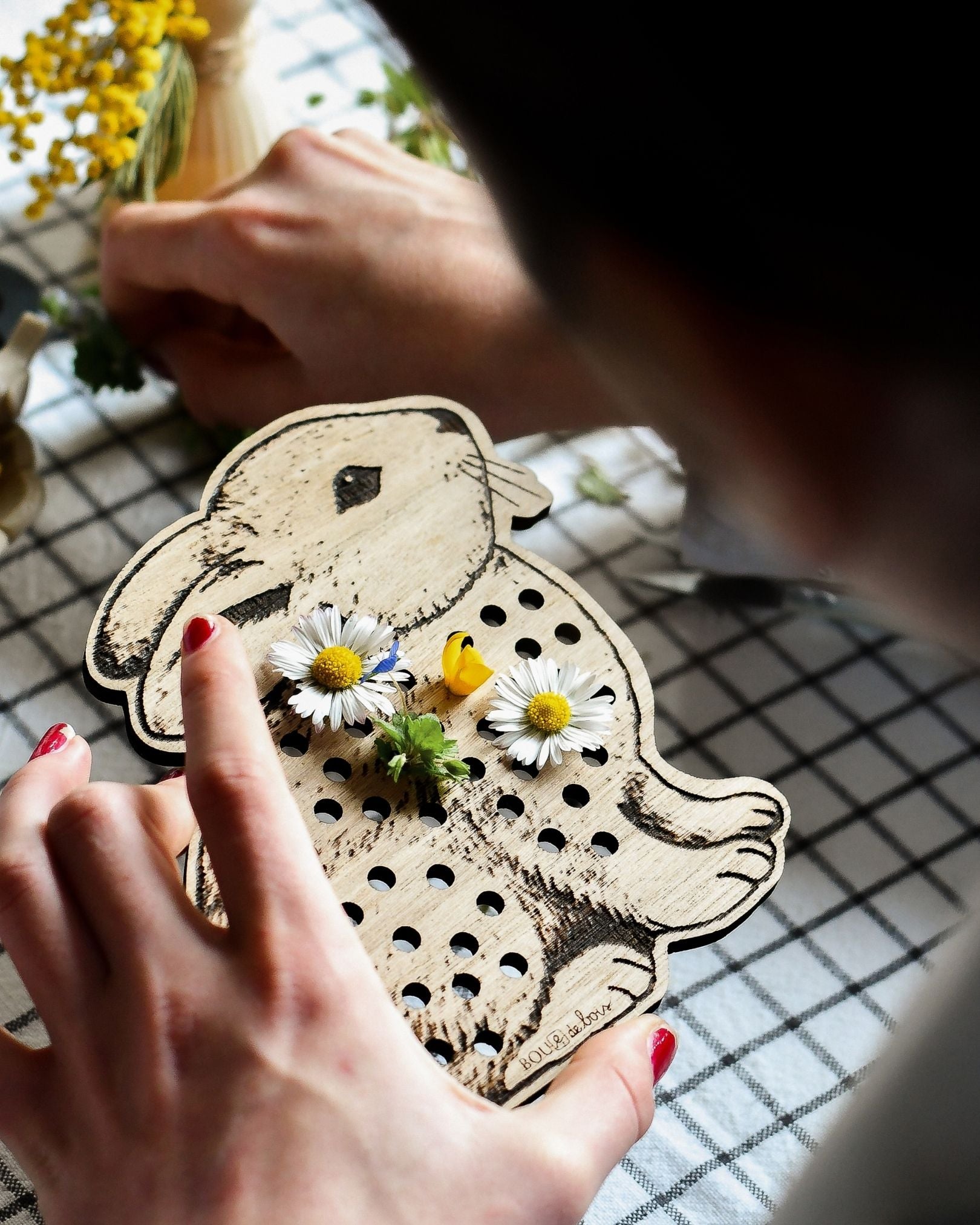 Mon lapin à végétaliser