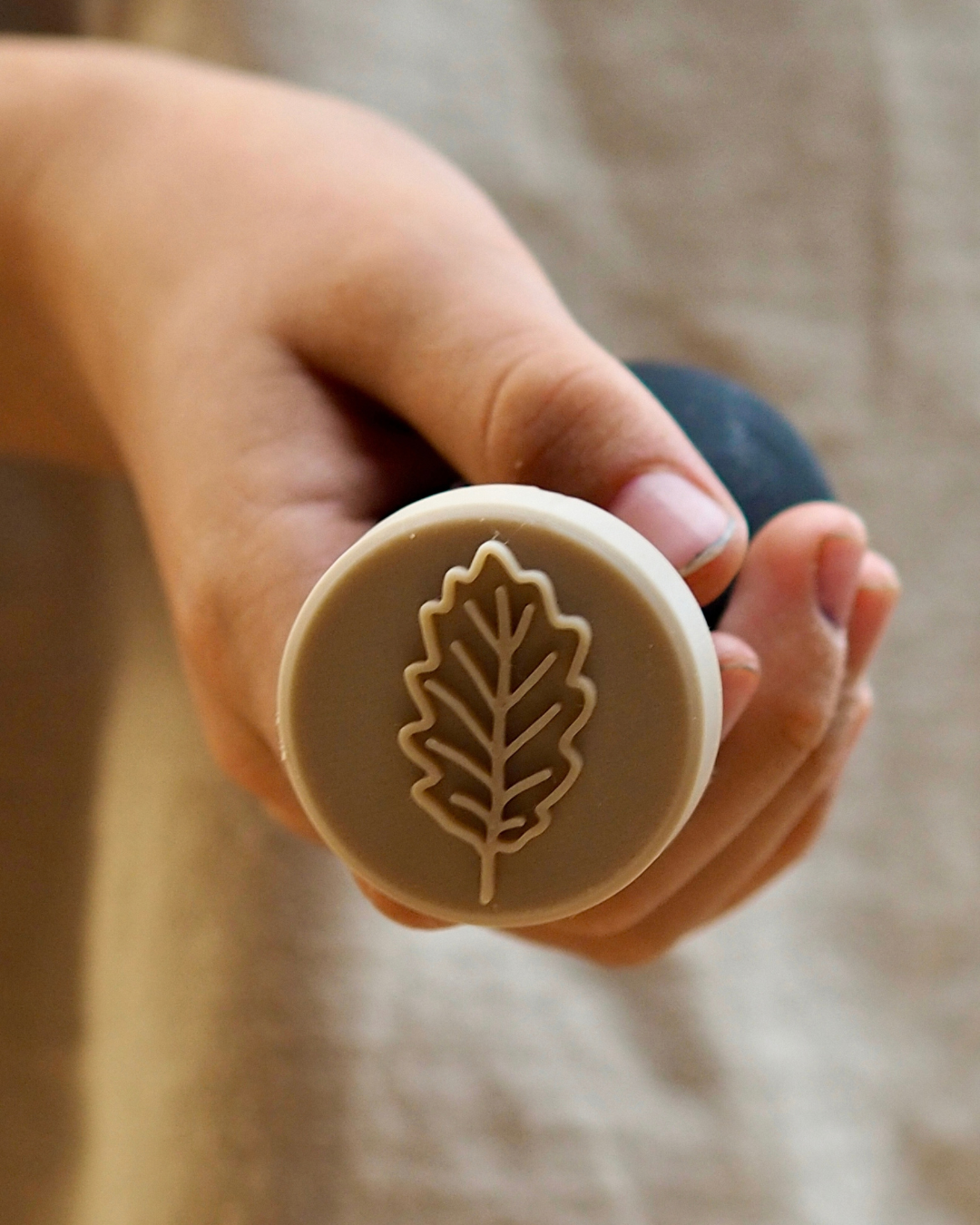 Mon kit biscuits - Forêt