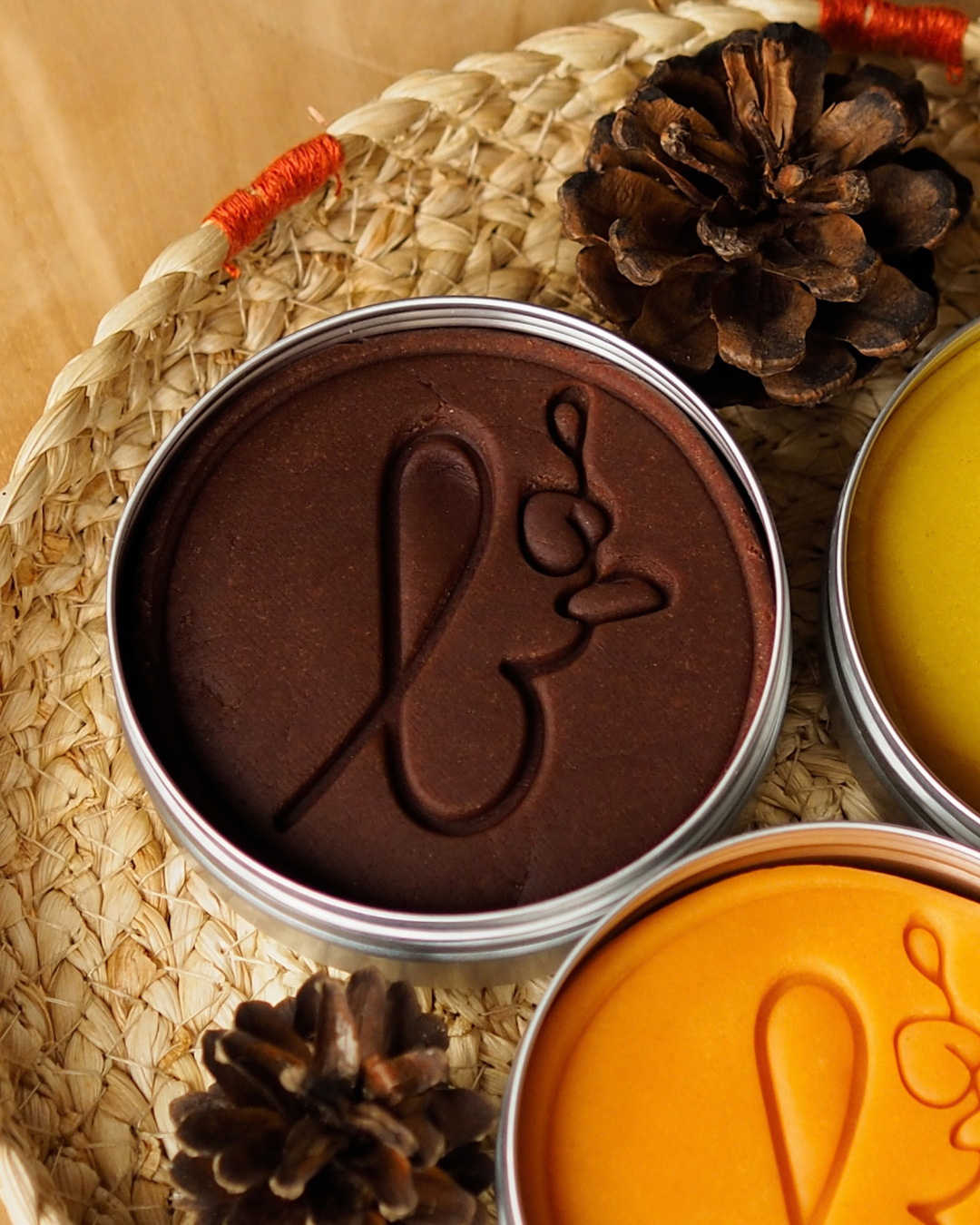 Pâte à modeler automne x3