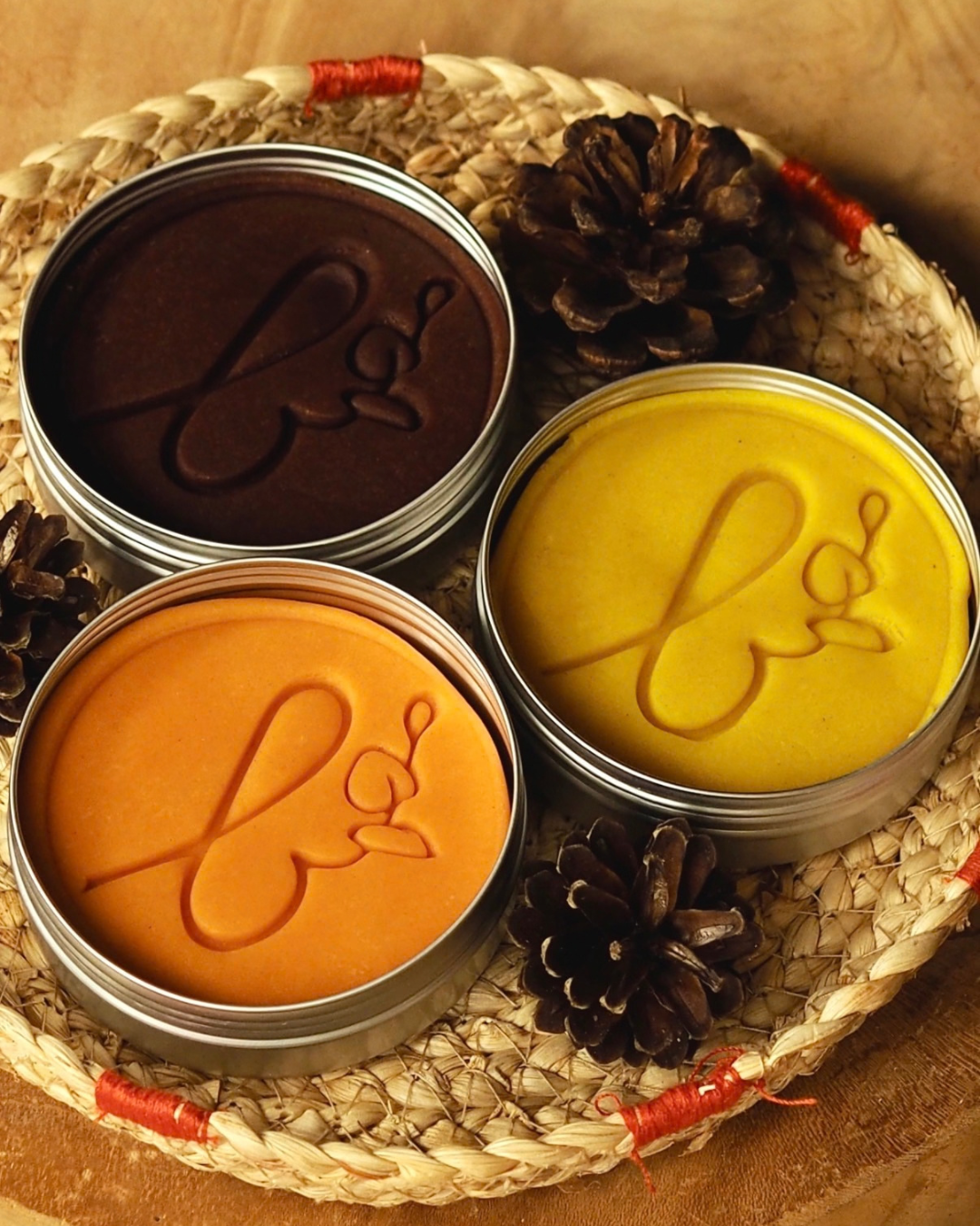 Pâte à modeler automne x3