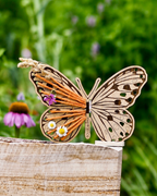 Le papillon à végétaliser