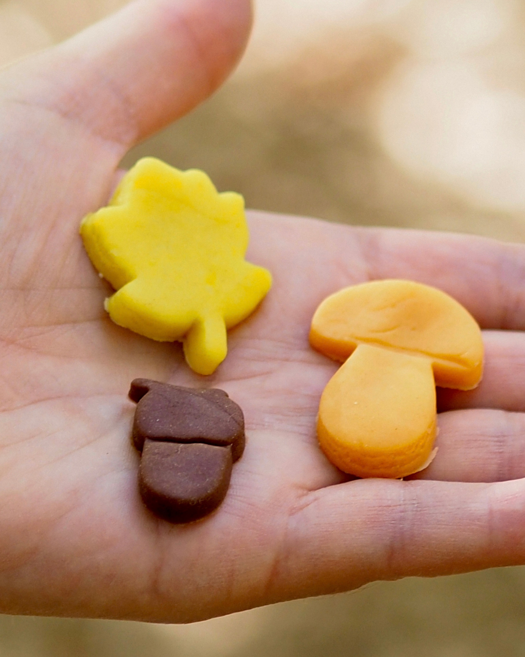 Pâte à modeler automne x3