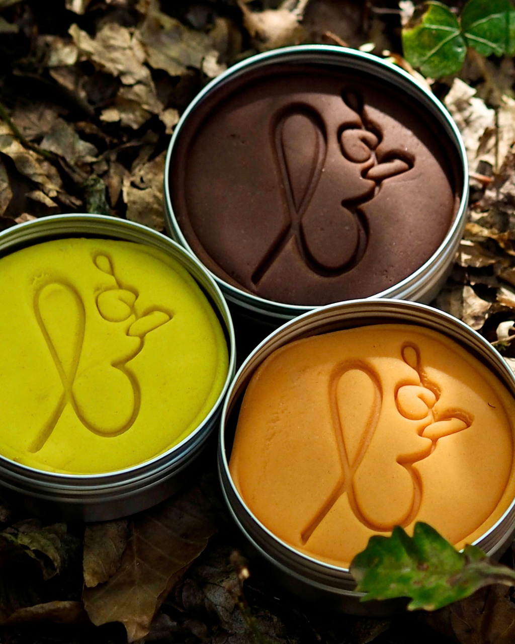 Pâte à modeler automne x3