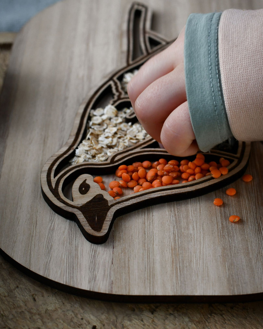 Plateau de transvasement - Oiseau & Nid