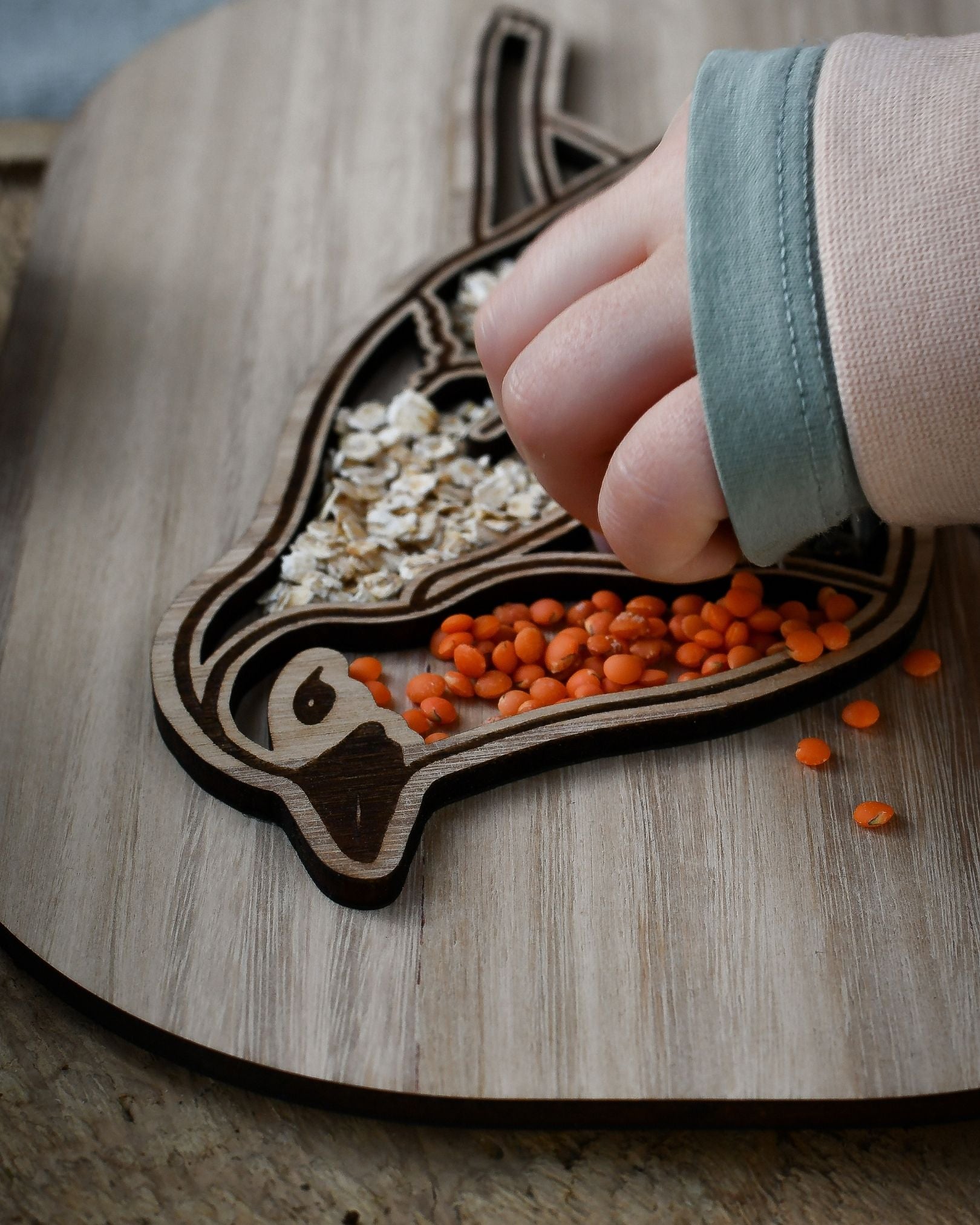 Plateau de transvasement - Oiseau & Nid