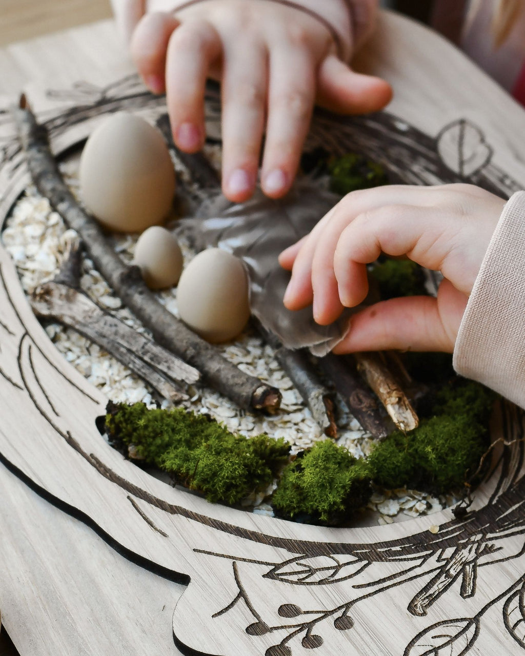 Plateau de transvasement - Oiseau & Nid