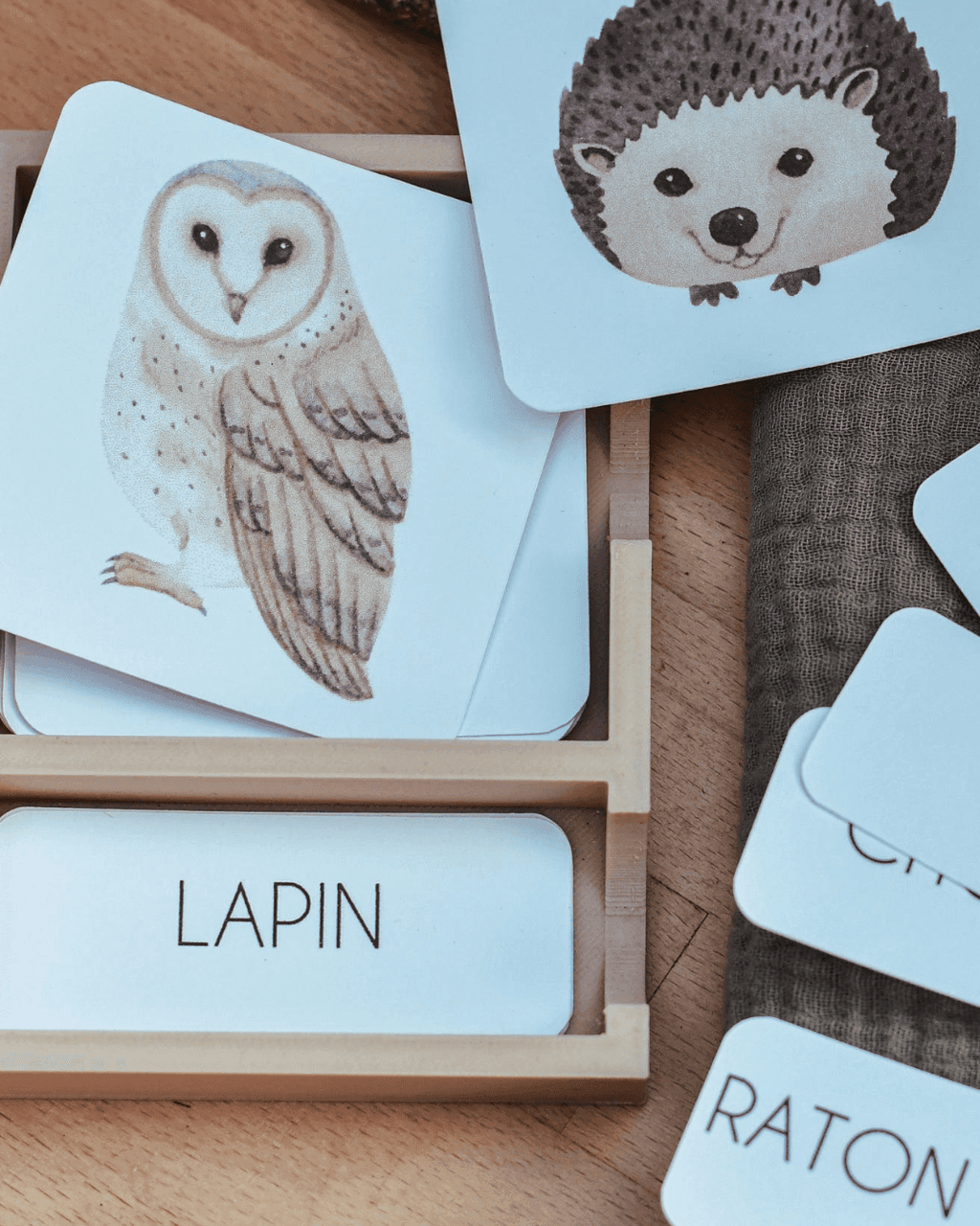 Le plateau de cartes de nomenclature
