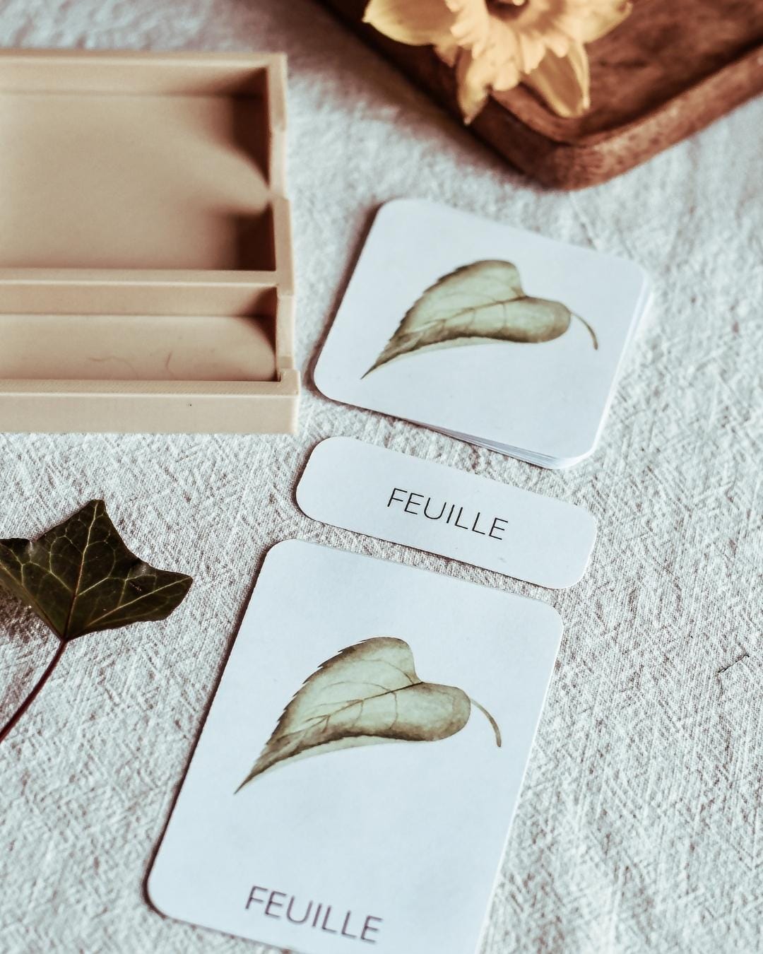 Le plateau de cartes de nomenclature