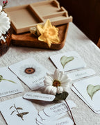 Le plateau de cartes de nomenclature
