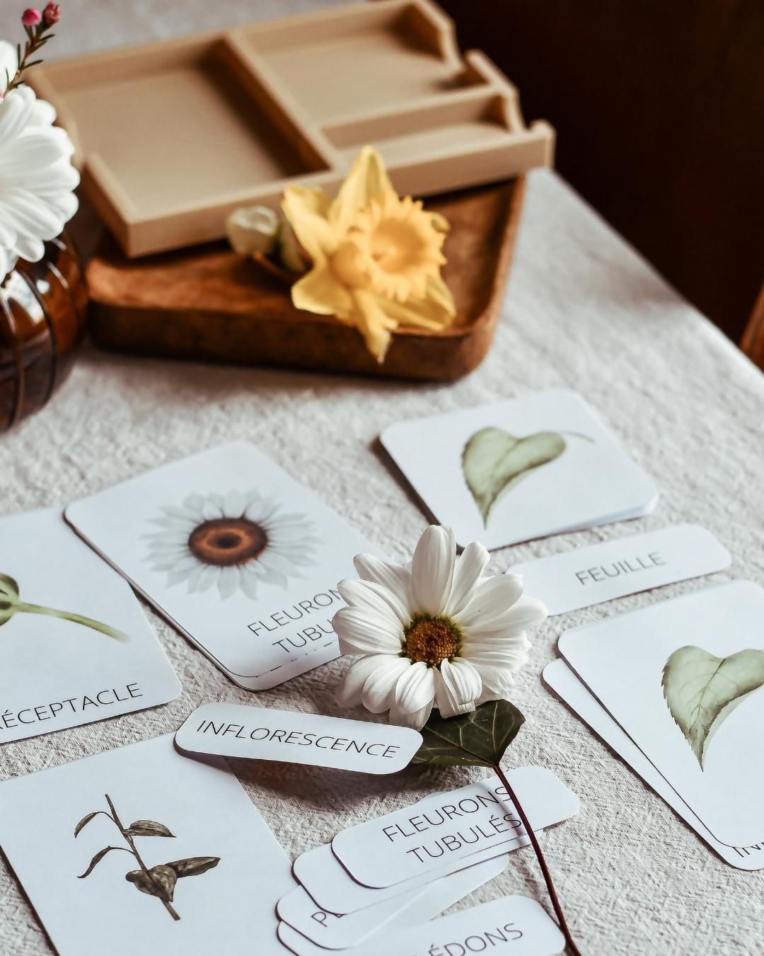 Le plateau de cartes de nomenclature