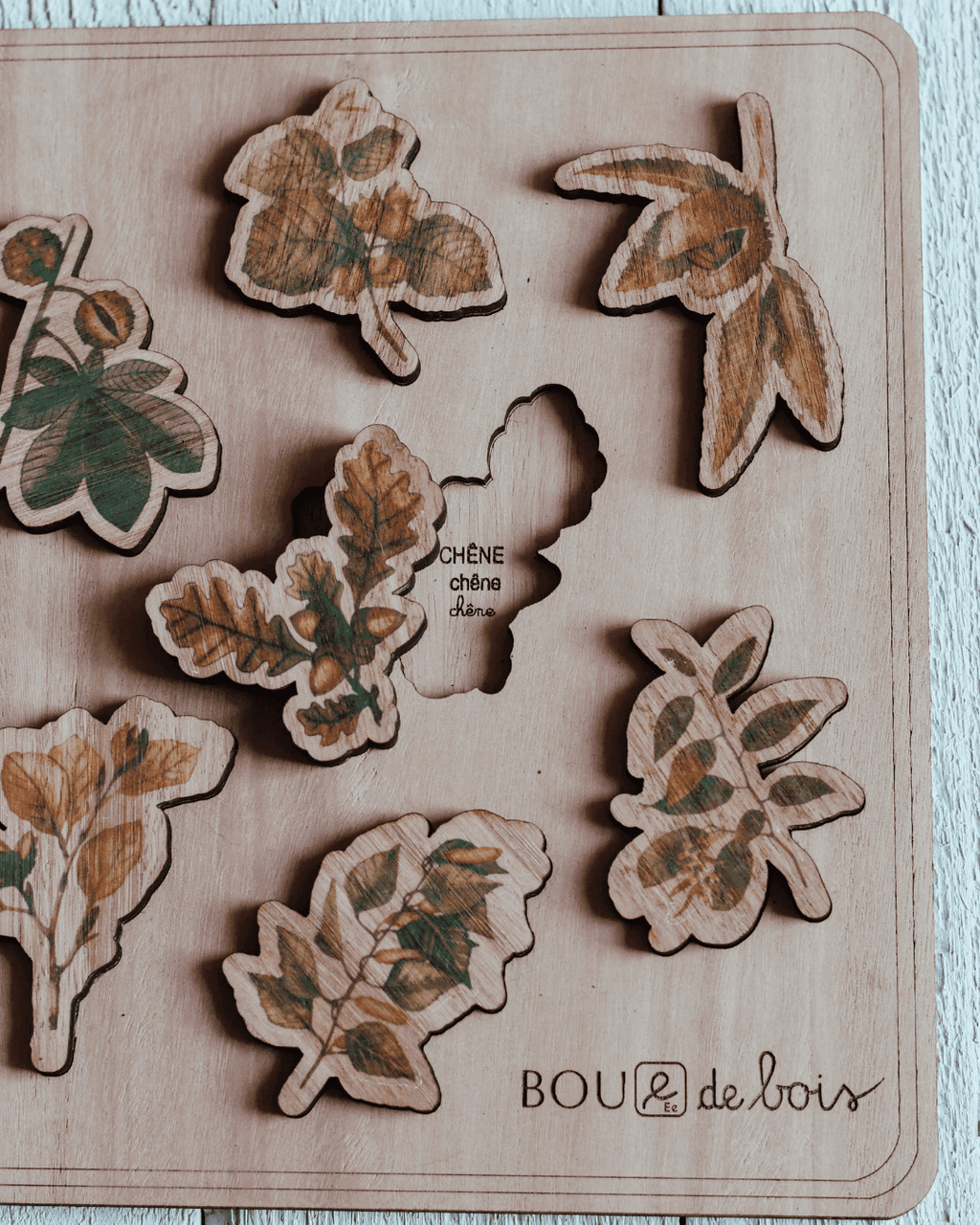 Mon puzzle botanique