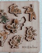 Mon puzzle botanique