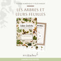 Le cahier d'activités - Les arbres et leurs feuilles