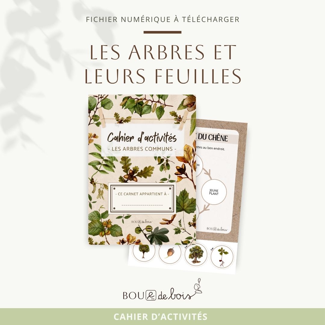 Le cahier d'activités - Les arbres et leurs feuilles