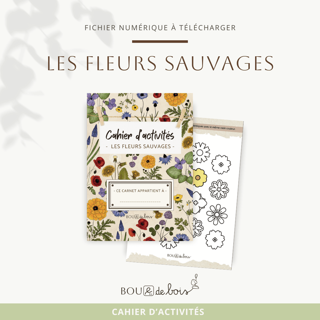 Cahier d'activités - Les fleurs sauvages