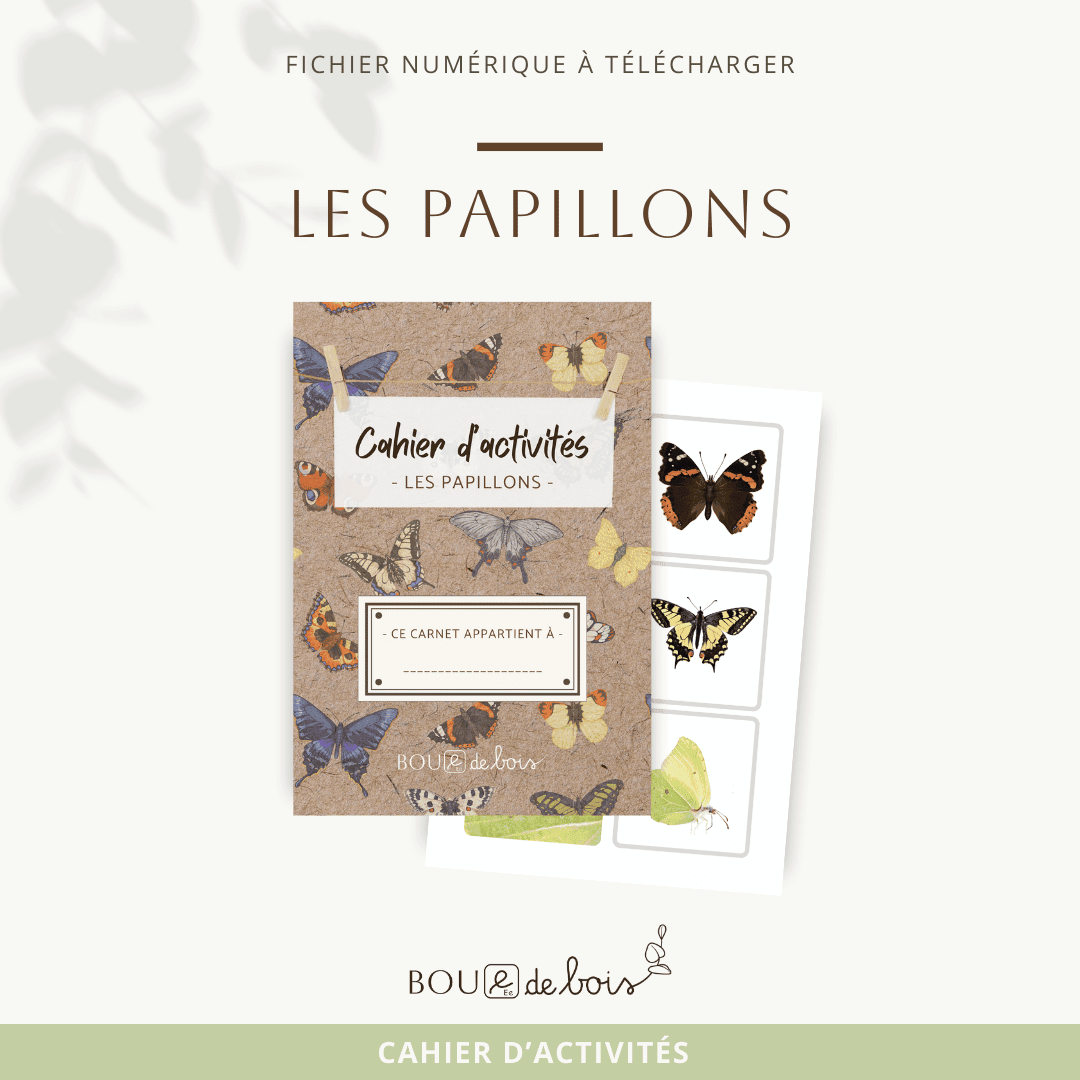 Cahier d'activités - Papillons
