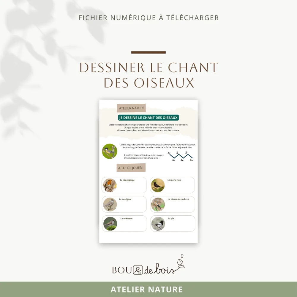 Dessiner le chant des oiseaux
