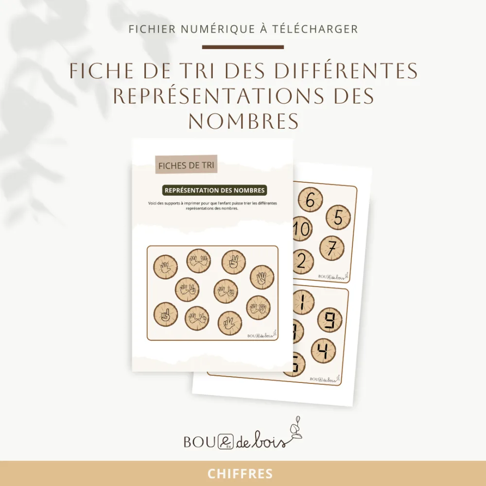 Fiche de tri - Représentation des nombres